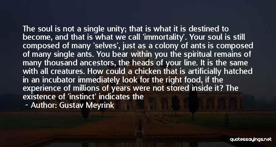 Gustav Meyrink Quotes 1452525