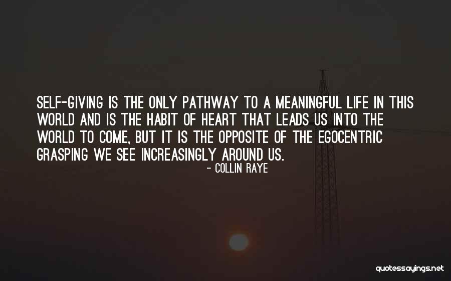 Gustav Roedel Quotes By Collin Raye Gustav Roedel Quotes By Collin Raye
