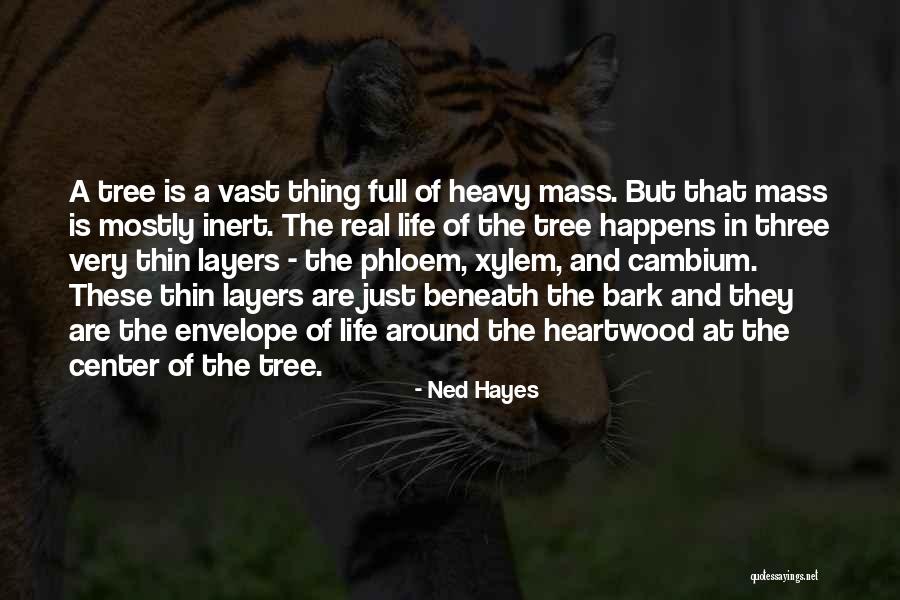 Gustibus Cooking Quotes By Ned Hayes Gustibus Cooking Quotes By Ned Hayes
