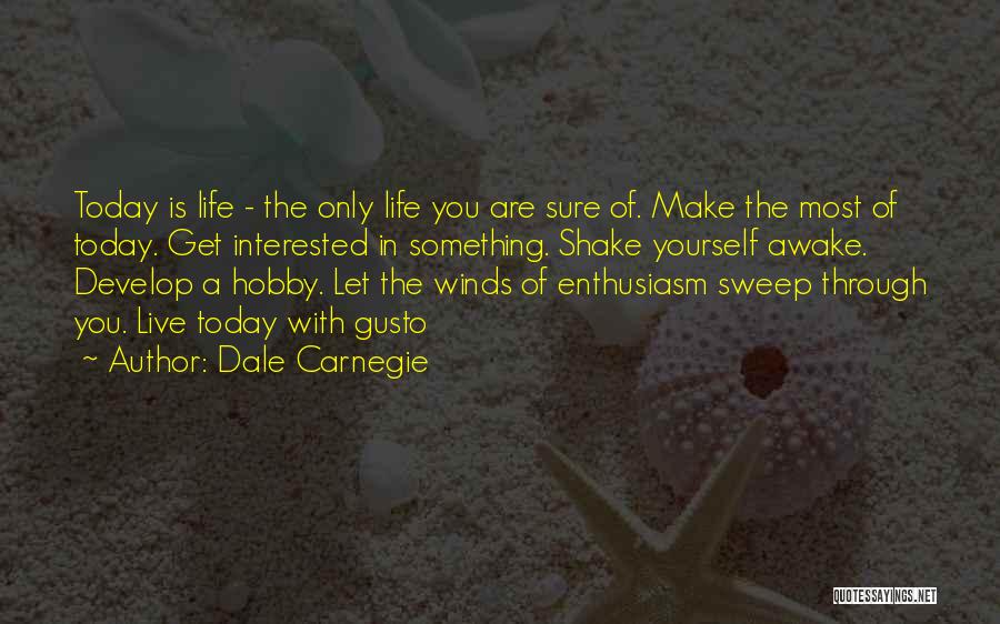Gusto Quotes By Dale Carnegie