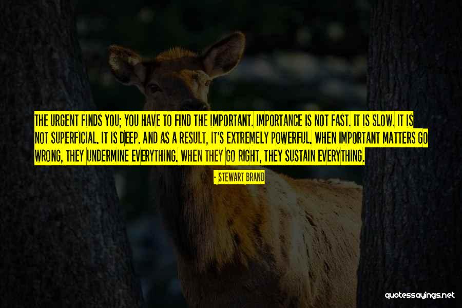 Gustoso Cheese Quotes By Stewart Brand Gustoso Cheese Quotes By Stewart Brand