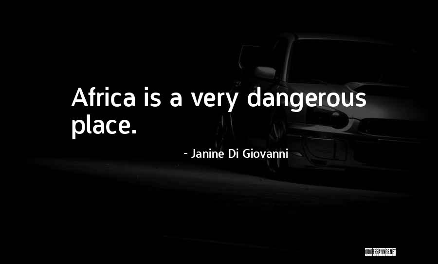 Gut Awareness Quotes By Janine Di Giovanni Gut Awareness Quotes By Janine Di Giovanni