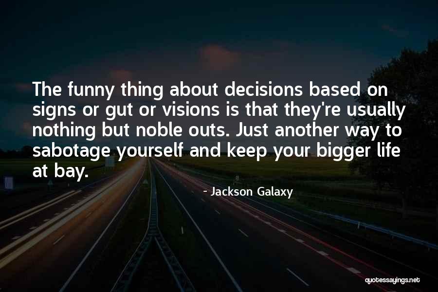 Gut Decisions Quotes By Jackson Galaxy Gut Decisions Quotes By Jackson Galaxy