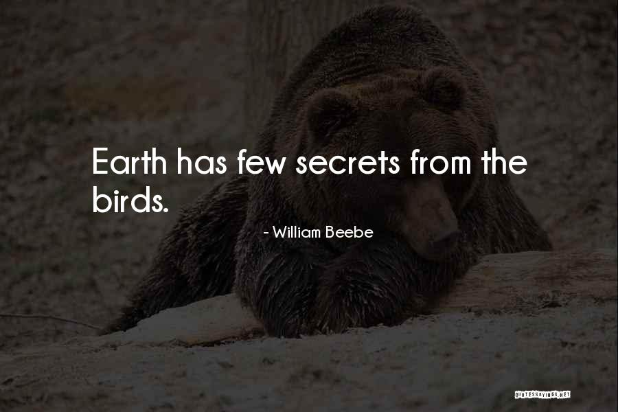 Gut Decisions Quotes By William Beebe Gut Decisions Quotes By William Beebe