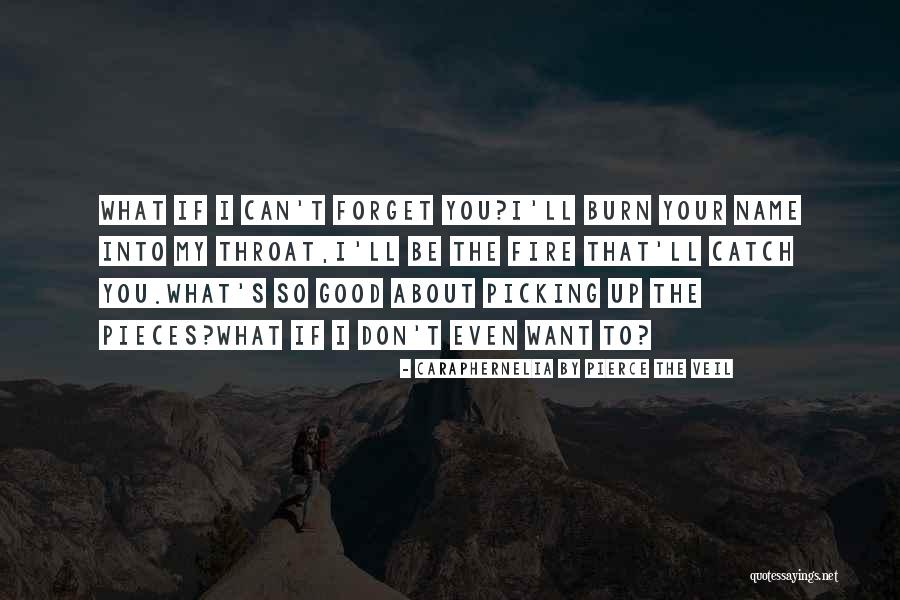 Gutbuster 365 Quotes By Caraphernelia By Pierce The Veil Gutbuster 365 Quotes By Caraphernelia By Pierce The Veil