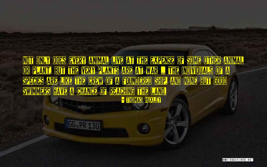 Gutenberg Cheese Quotes By Thomas Huxley Gutenberg Cheese Quotes By Thomas Huxley