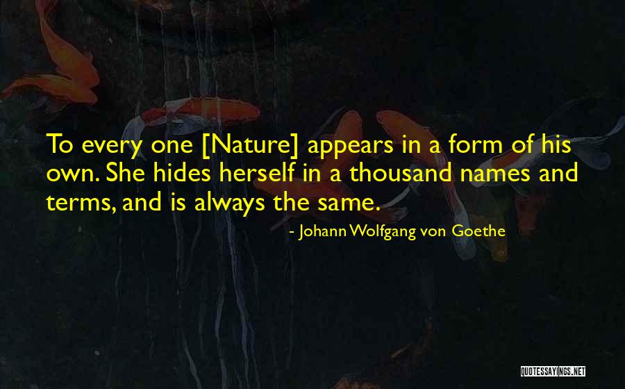 Gutfleisch Sch Rmann Quotes By Johann Wolfgang Von Goethe Gutfleisch Sch Rmann Quotes By Johann Wolfgang Von Goethe