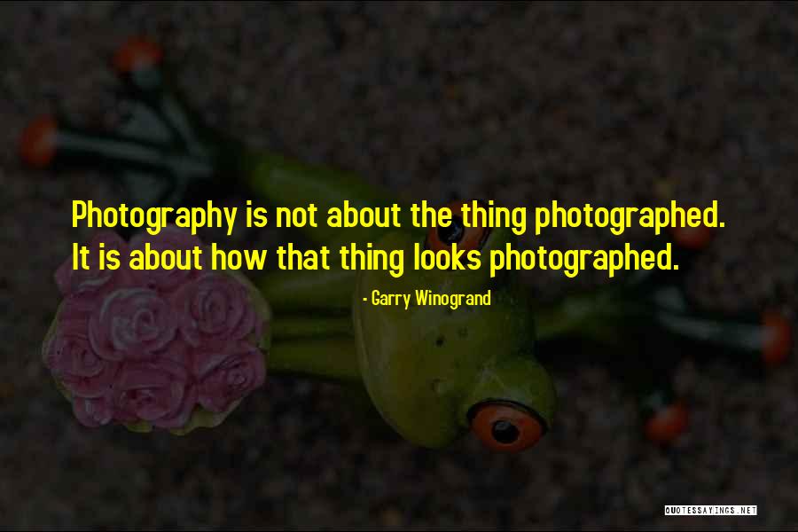 Guts Feeling Quotes By Garry Winogrand Guts Feeling Quotes By Garry Winogrand