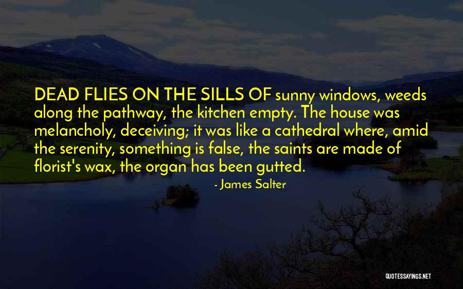 Gutted House Quotes By James Salter Gutted House Quotes By James Salter