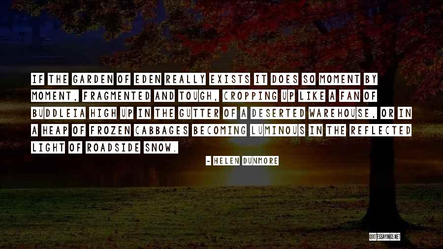 Gutter Life Quotes By Helen Dunmore Gutter Life Quotes By Helen Dunmore