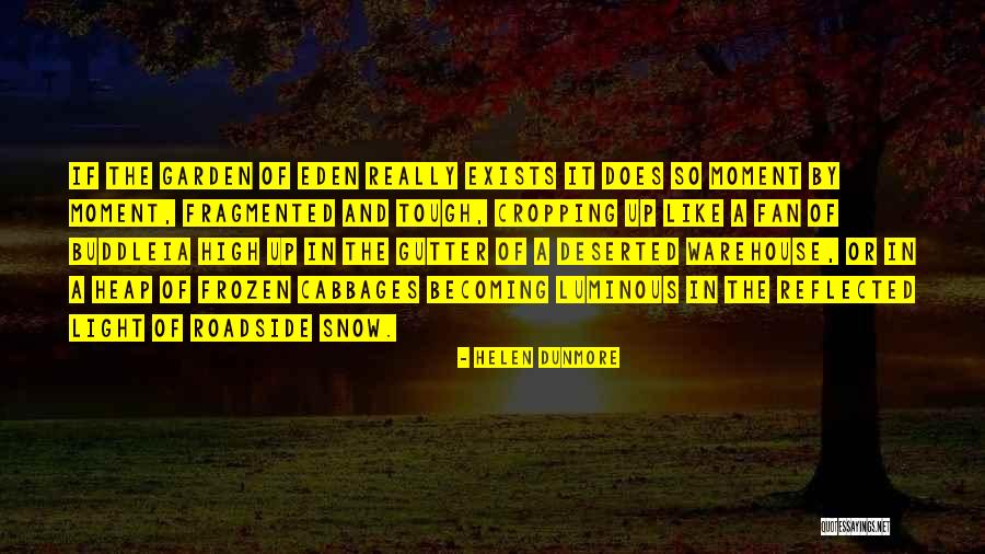Gutter Like Quotes By Helen Dunmore Gutter Like Quotes By Helen Dunmore