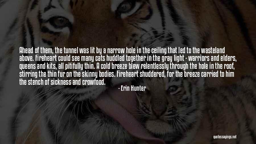 Guttered Candle Quotes By Erin Hunter Guttered Candle Quotes By Erin Hunter