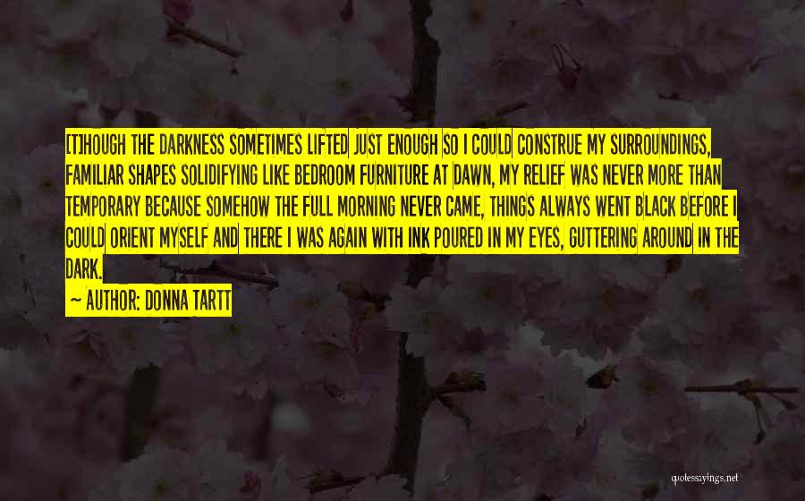 Guttering Quotes By Donna Tartt