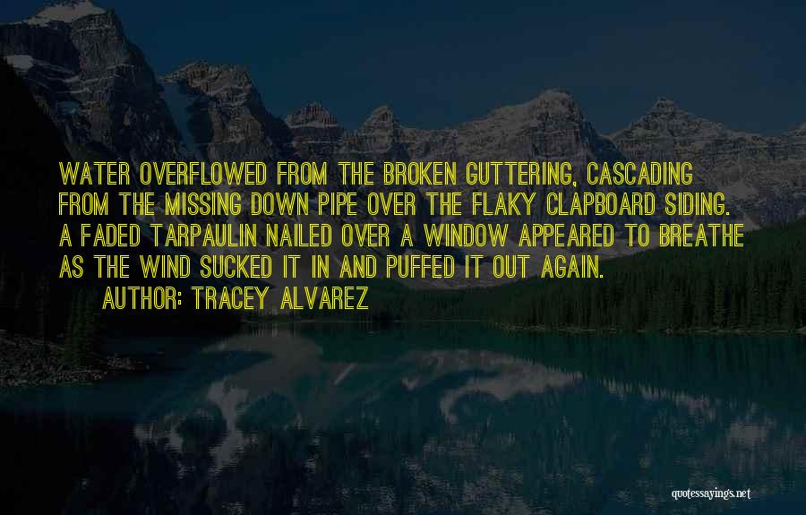 Guttering Quotes By Tracey Alvarez