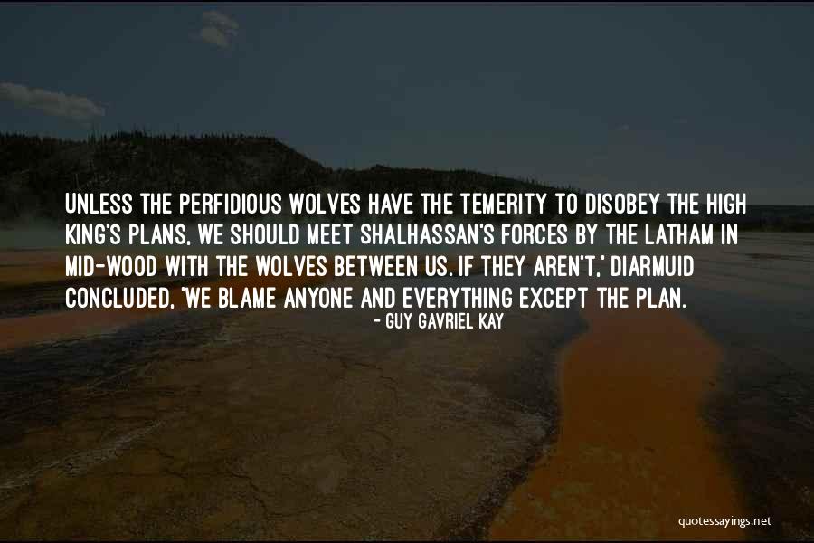 Guy Gavriel Kay Quotes 1328839