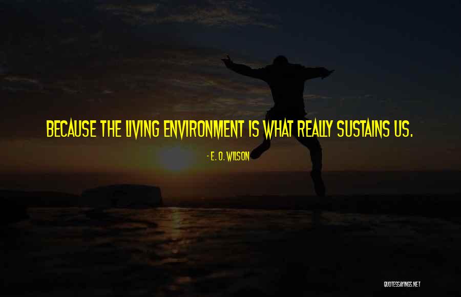 Guyot Campsite Quotes By E. O. Wilson Guyot Campsite Quotes By E. O. Wilson
