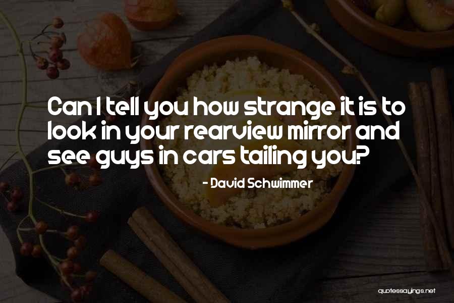 Guys And Cars Quotes By David Schwimmer