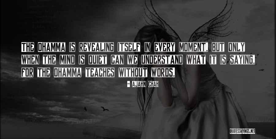 Guys Are Cowards Quotes By Ajahn Chah Guys Are Cowards Quotes By Ajahn Chah