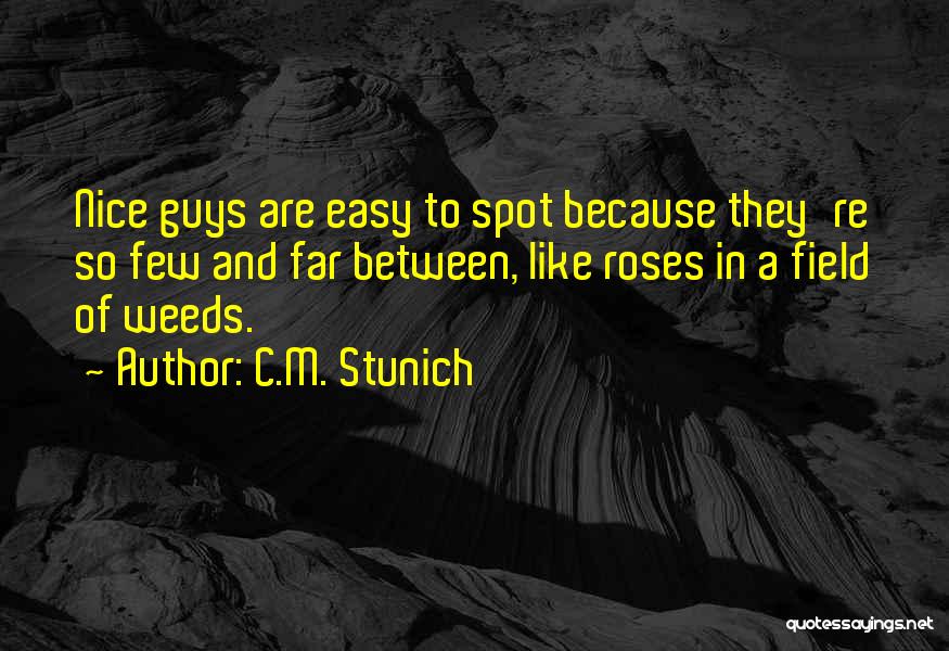 Guys Have It So Easy Quotes By C.M. Stunich