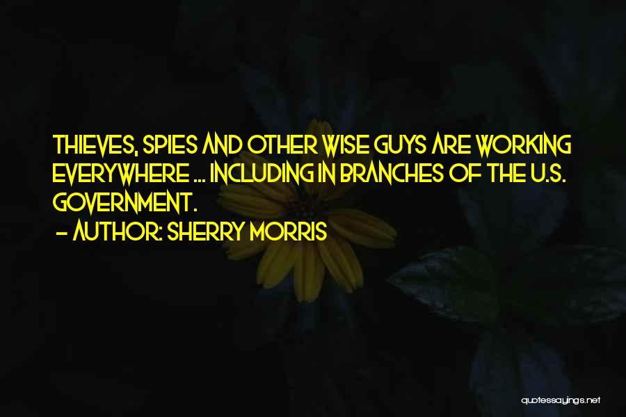 Guys You Can't Get Over Quotes By Sherry Morris