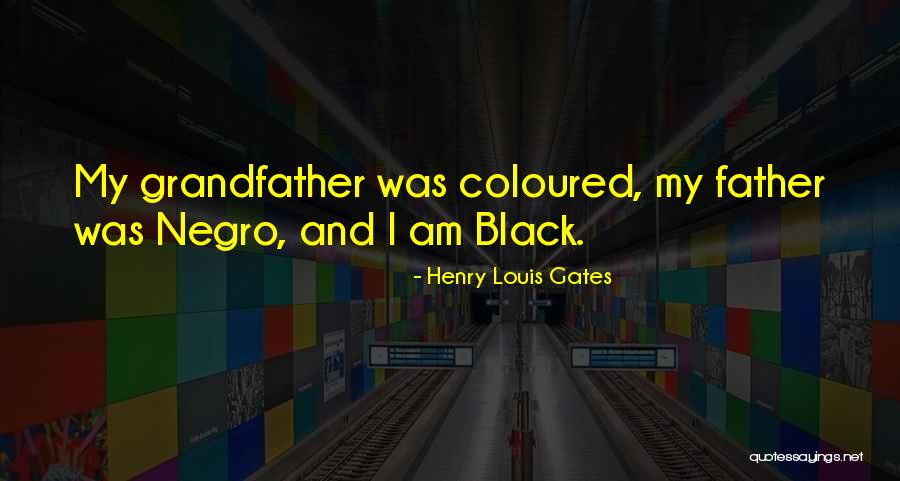 Guysll Quotes By Henry Louis Gates Guysll Quotes By Henry Louis Gates