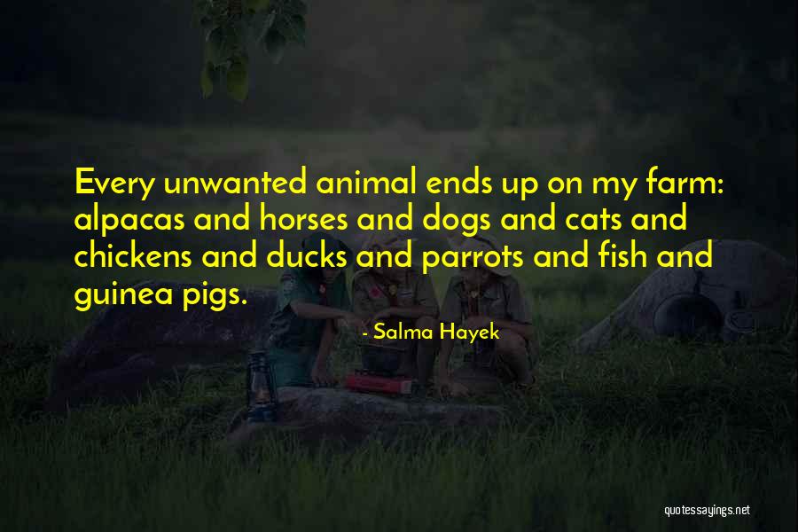 Gw2 Human Quotes By Salma Hayek Gw2 Human Quotes By Salma Hayek