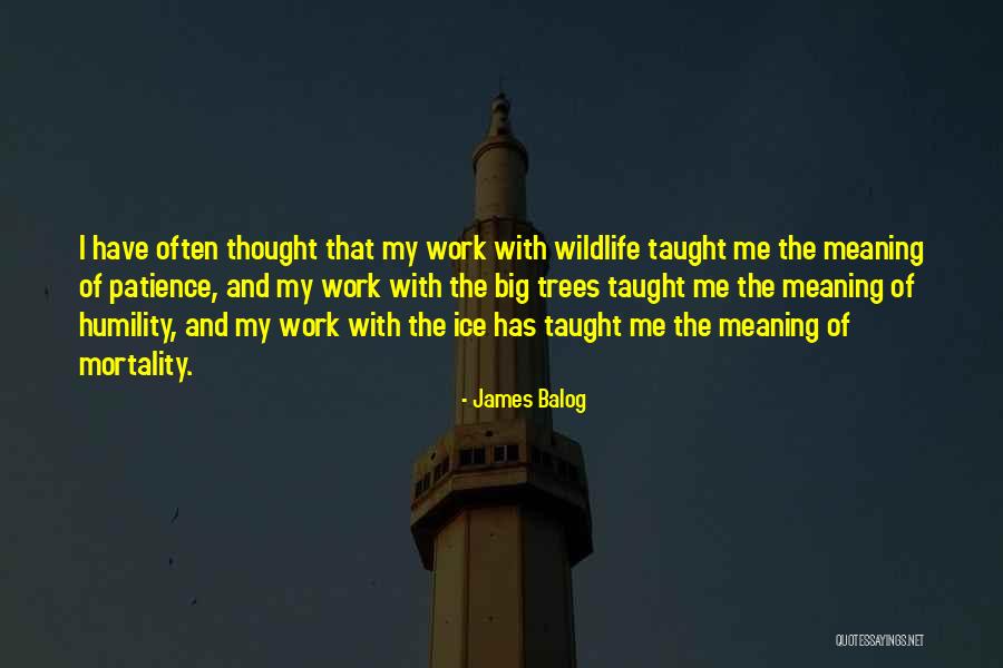 Gyanendra Singh Quotes By James Balog Gyanendra Singh Quotes By James Balog