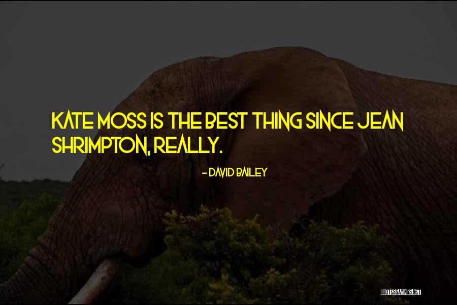 Gyermekei Quotes By David Bailey Gyermekei Quotes By David Bailey