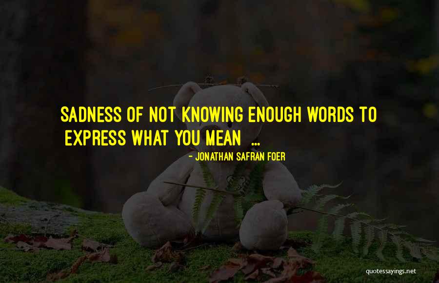 Gyldendal Matematik Quotes By Jonathan Safran Foer