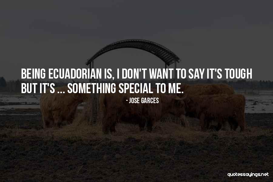 Gylfie Quotes By Jose Garces Gylfie Quotes By Jose Garces