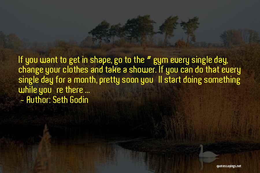 Gym Day Quotes By Seth Godin
