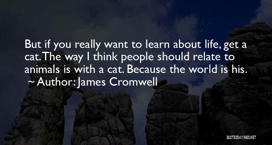 Gym Teachers Quotes By James Cromwell