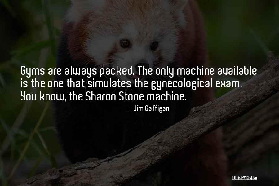 Gynecological Quotes By Jim Gaffigan Gynecological Quotes By Jim Gaffigan