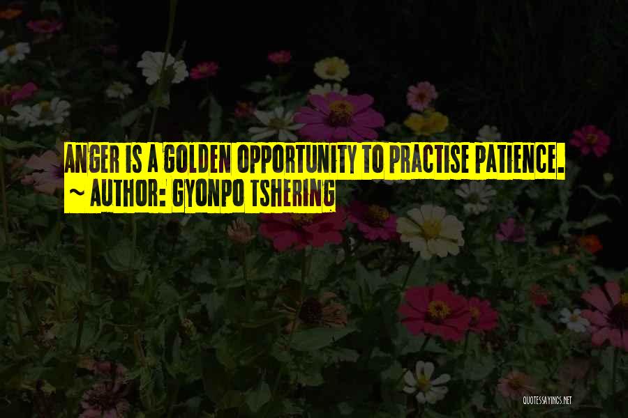 Gyonpo Tshering Quotes 1852382