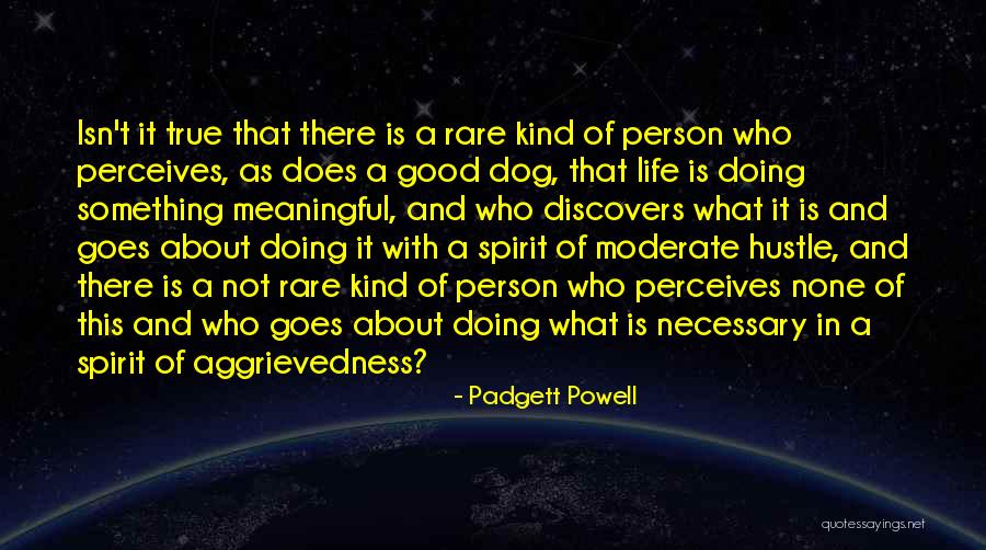 Gyool Quotes By Padgett Powell Gyool Quotes By Padgett Powell