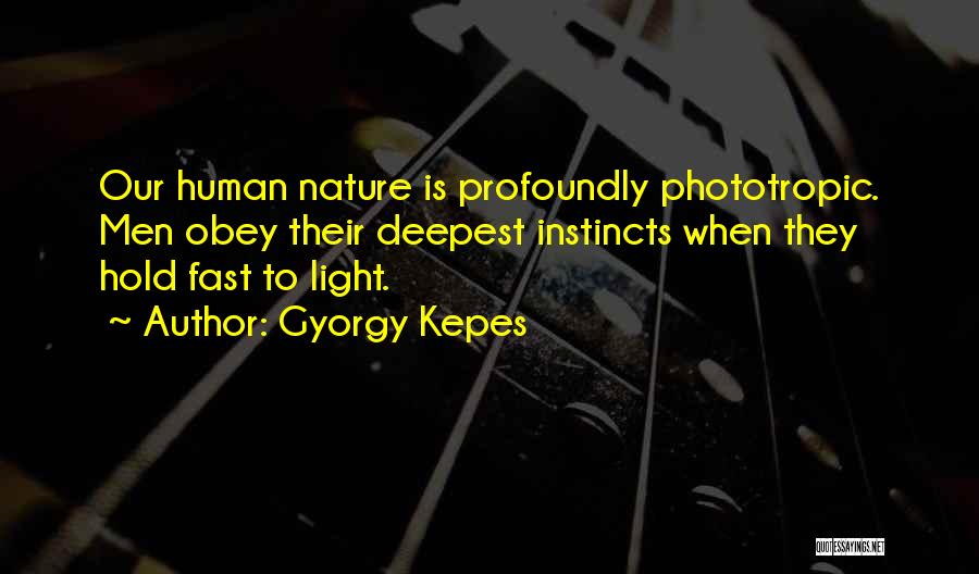Gyorgy Kepes Quotes 1963983