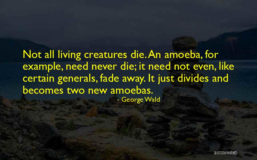 Gypsygirl Quotes By George Wald Gypsygirl Quotes By George Wald