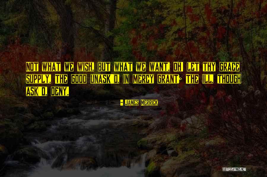 Gyrocopters Quotes By James Merrick