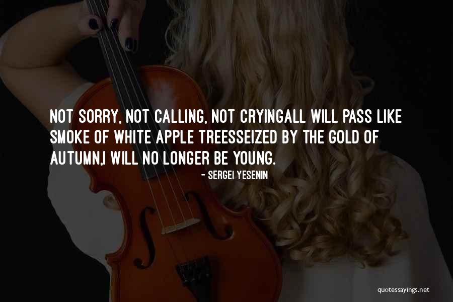 Gyrotonic Exercise Quotes By Sergei Yesenin Gyrotonic Exercise Quotes By Sergei Yesenin