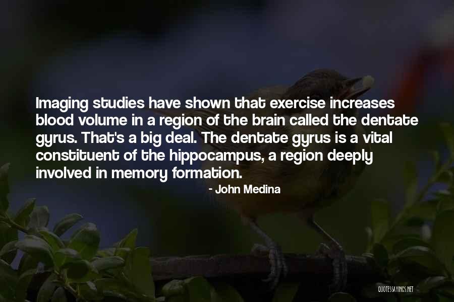 Gyrus Quotes By John Medina Gyrus Quotes By John Medina