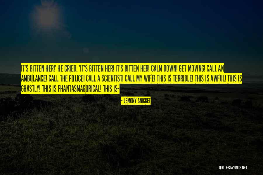 Gytis Simaitis Quotes By Lemony Snicket Gytis Simaitis Quotes By Lemony Snicket