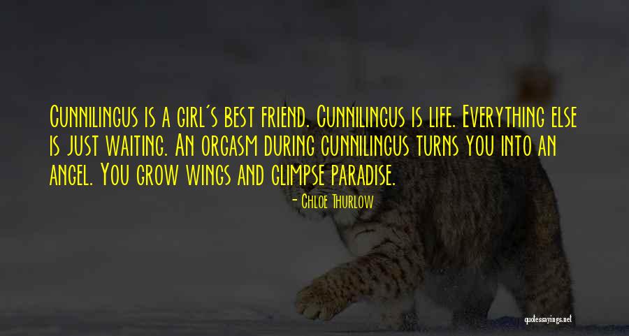 Gyvn Official Reviews Quotes By Chloe Thurlow Gyvn Official Reviews Quotes By Chloe Thurlow