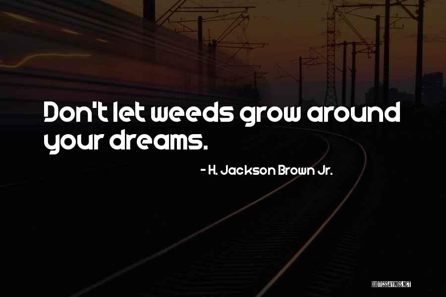 H. Brown Jackson Quotes By H. Jackson Brown Jr.