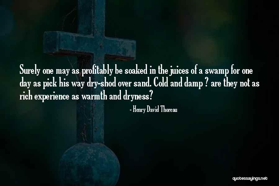 H D Thoreau Quotes By Henry David Thoreau