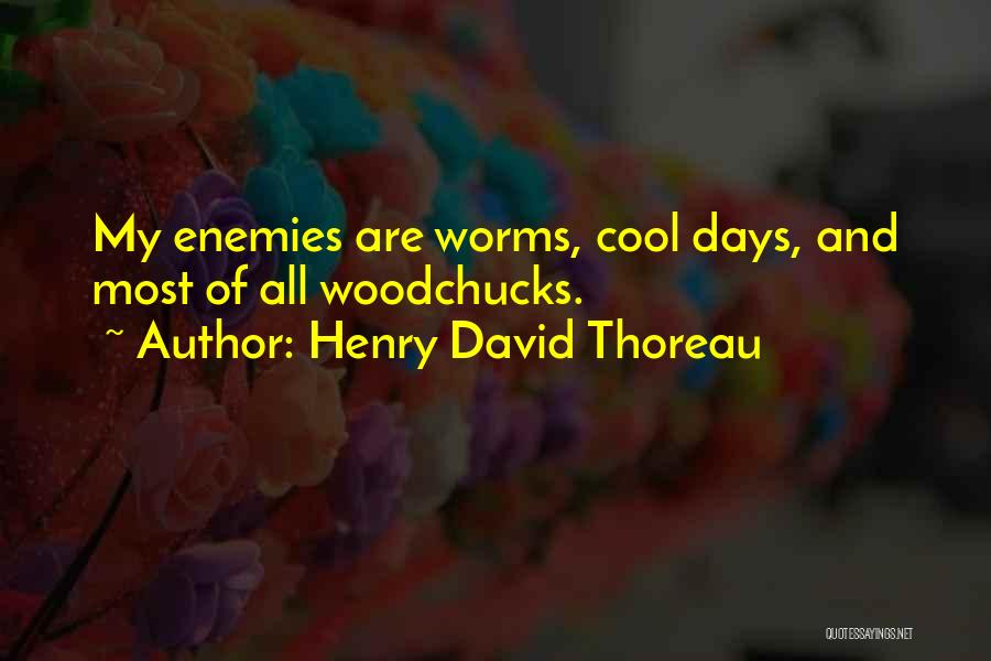 H.d. Thoreau Walden Quotes By Henry David Thoreau