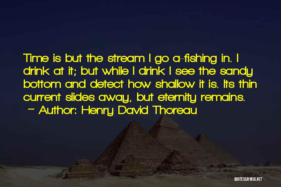 H.d. Thoreau Walden Quotes By Henry David Thoreau