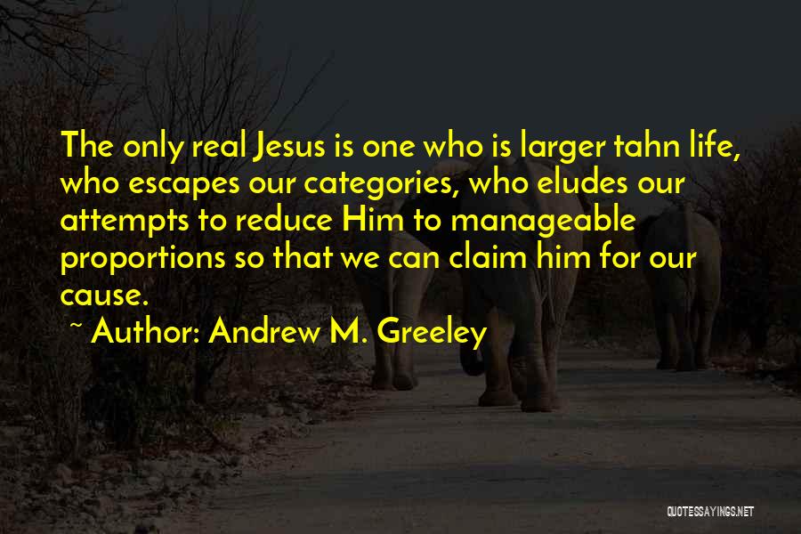 H Greeley Quotes By Andrew M. Greeley