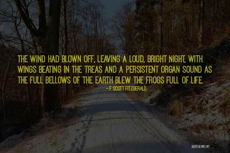 H J Wings Things Quotes By F Scott Fitzgerald H J Wings Things Quotes By F Scott Fitzgerald