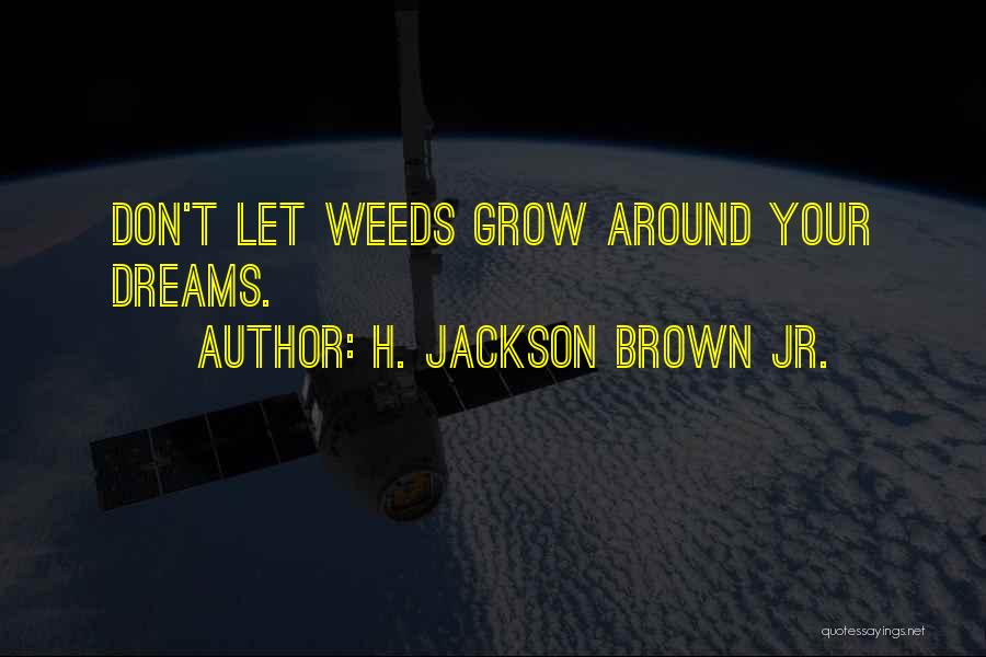 H. Jackson Brown Jr. Quotes 819461