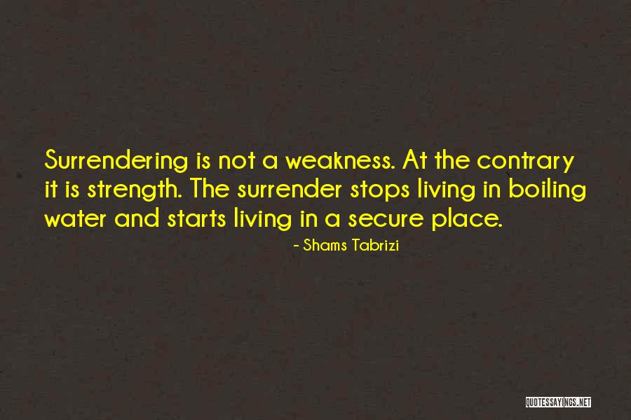 H Lsenfr Chte Quotes By Shams Tabrizi H Lsenfr Chte Quotes By Shams Tabrizi
